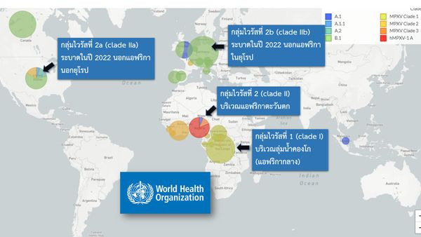 ศูนย์จีโนมฯ เปิด 4 กลุ่มเคลด ไวรัส ฝีดาษลิง แพร่กระจายที่ไหนบ้าง พร้อมเผยวิธีการตั้งชื่อ