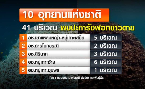 10 อุทยานฯ ปะการังฟอกขาวตาย ส.ค.-ก.ย. สิ้นสุดสถานการณ์ฟอกขาว ลุ้นจำนวนปะการังรอด-ตาย ?