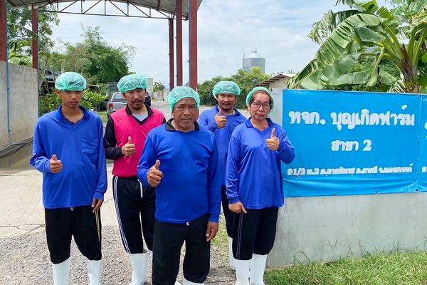 “บุญเกิดฟาร์ม” บทพิสูจน์คอนแทรคฟาร์มเลี้ยงหมูพลิกชีวิต ซีพีเอฟส่งเสริมเกษตรยั่งยืน