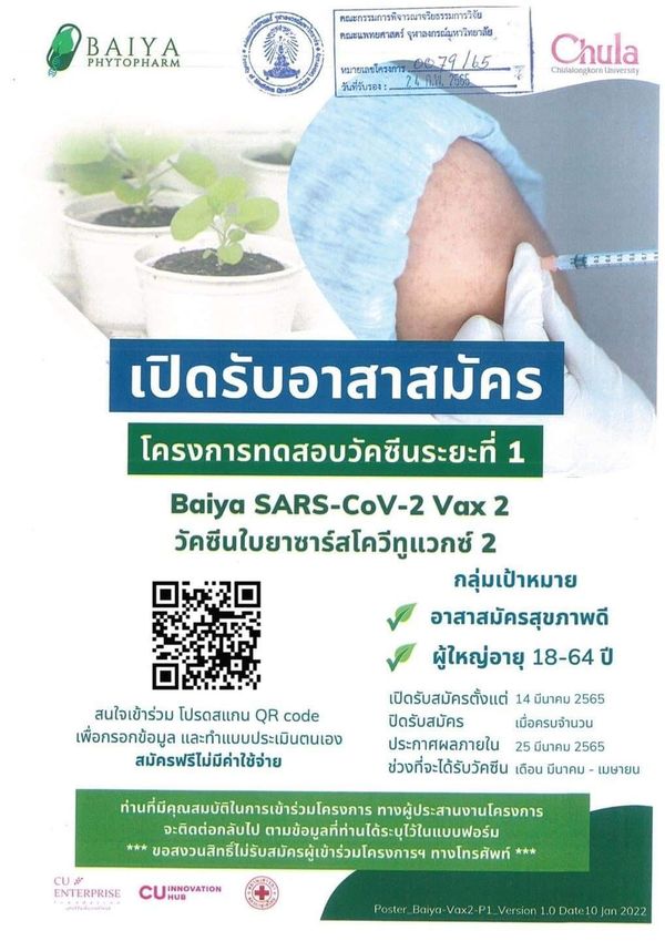 เปิดรับอาสาสมัครทดสอบวัคซีนใบยา ระยะ 1 สูตรปรับปรุงใหม่รับเชื้อโควิดกลายพันธุ์