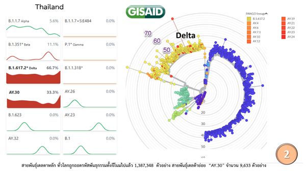 แสงสว่างปลายอุโมงค์! ‘เดลตา’ อาจเป็นคลื่นระบาดสุดท้าย ก่อนเป็น โรคประจำถิ่น