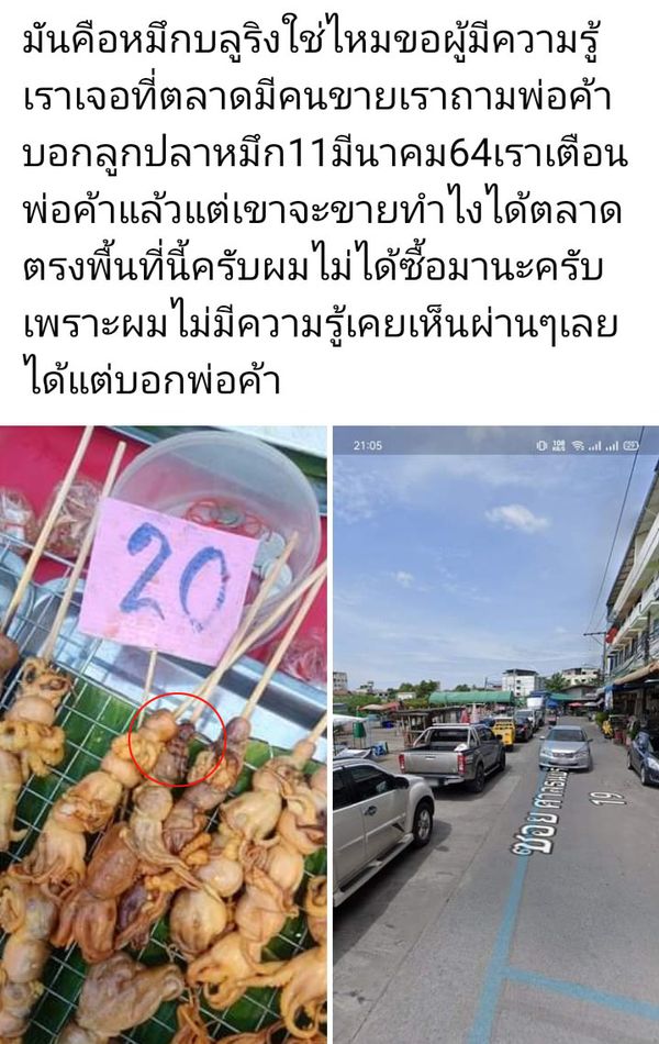 เตือนผู้บริโภค! หมึกย่างคล้าย หมึกบลูริง พิษร้ายแรงโผล่ตลาดนัด 