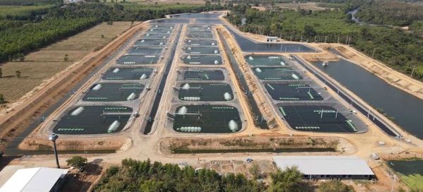 ซีพีเอฟ ยกระดับการเลี้ยงปลารูปแบบ CARE Aquaculture Model