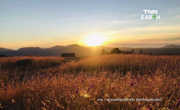 ชมตะวันก่อนใครที่ ผาชะนะได จุดแรกที่เห็นพระอาทิตย์ขึ้นในประเทศไทย