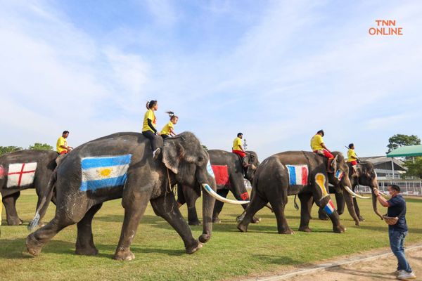 อยุธยาจัด“ช้างเตะบอลกับคน” ร่วมรณรงค์เชียร์บอลโลกไม่เล่นการพนัน