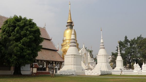 ลมแรงเกินต้าน! แผ่นทองจังโก หุ้มพระเจดีย์ วัดสวนดอก เชียงใหม่ พายุฝนพัดปลิว