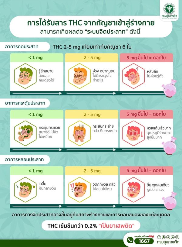 ไม่อยากหลอนต้องอ่าน! รับสาร THC จาก ‘ใช้กัญชา’ เท่าใดถึงมีผลต่อจิตประสาท