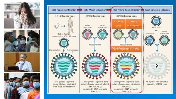 เตือน! ระวัง  ‘ไข้หวัดใหญ่ H3N2 สายพันธุ์อินเดีย’ แพร่ระบาด อาการรุนแรงถึงชีวิต