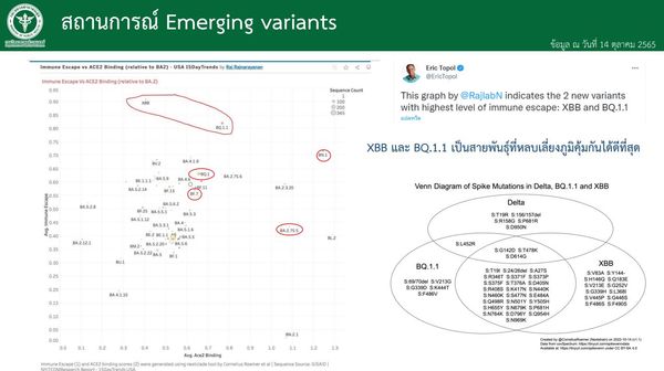 กรมวิทย์ฯ แจงไทยพบโควิด BQ.1 รายแรก เมื่อ ส.ค.ชี้เป็นสายพันธุ์ที่ต้องจับตา