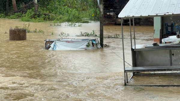 พัทลุงฝนตกหนัก-น้ำท่วมสูงต้องใช้เรือสัญจร