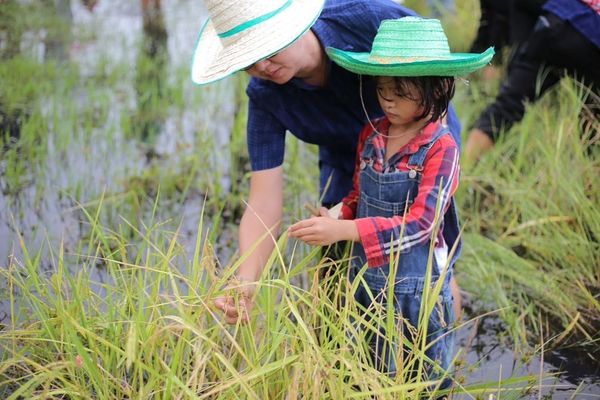 มูลนิธิเจริญโภคภัณฑ์พัฒนาชีวิตชนบท สืบสานภูมิปัญญา ‘นาริมเล’ ต่อยอดมรดกทางวัฒนธรรม 