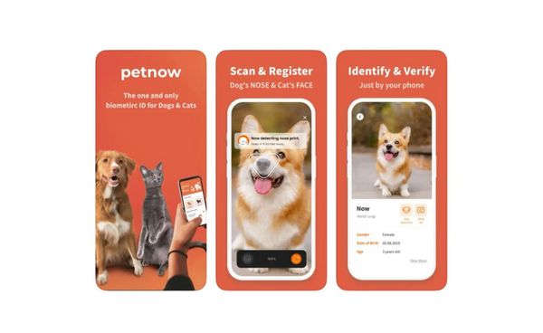 แอปพลิเคชัน Petnow ระบุตัวตนสัตว์เลี้ยงด้วยลายจมูกและใบหน้า