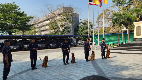 น้องทำดี! ติดยศตำรวจตรี “สุนัข K-9” คลี่คดีดัง“น้องชมพู่-ไอซ์หีบเหล็ก”