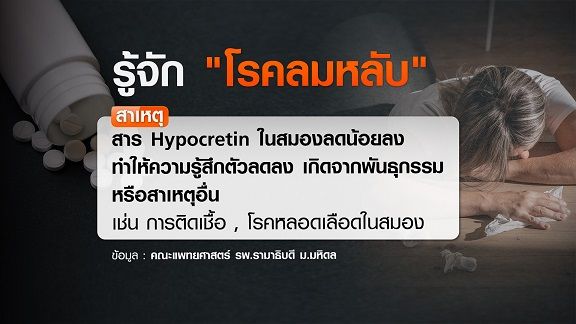 รู้จัก โรคลมหลับ รักษาไม่หาย ใช้ยาบรรเทา เช็กสัญญาณ ง่วง-หลับง่าย แบบไหนเข้าข่ายโรค 