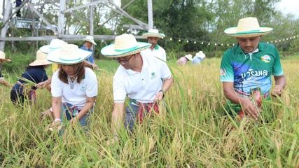 มูลนิธิเจริญโภคภัณฑ์พัฒนาชีวิตชนบท สืบสานภูมิปัญญา ‘นาริมเล’ ต่อยอดมรดกทางวัฒนธรรม 