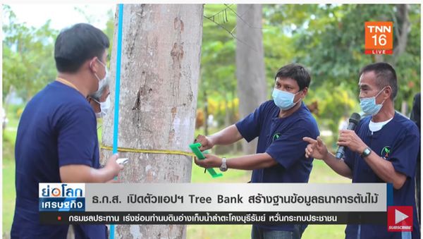 ธ.ก.ส. เปิดตัวแอป Tree Bank สร้างฐานข้อมูลธนาคารต้นไม้ 