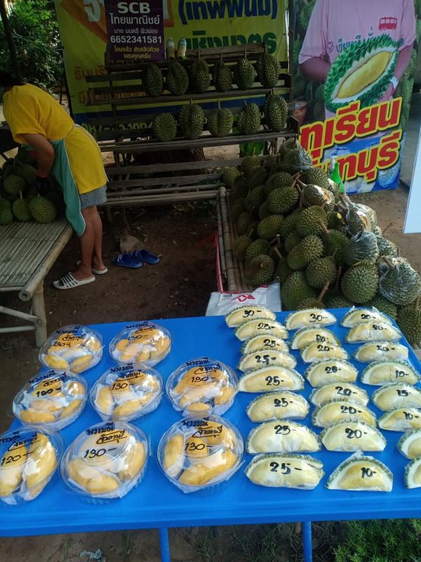 โซเชียลน้ำลายสอ “ทุเรียนพูละ 5 บาท” คนงบน้อยก็อร่อยได้ 