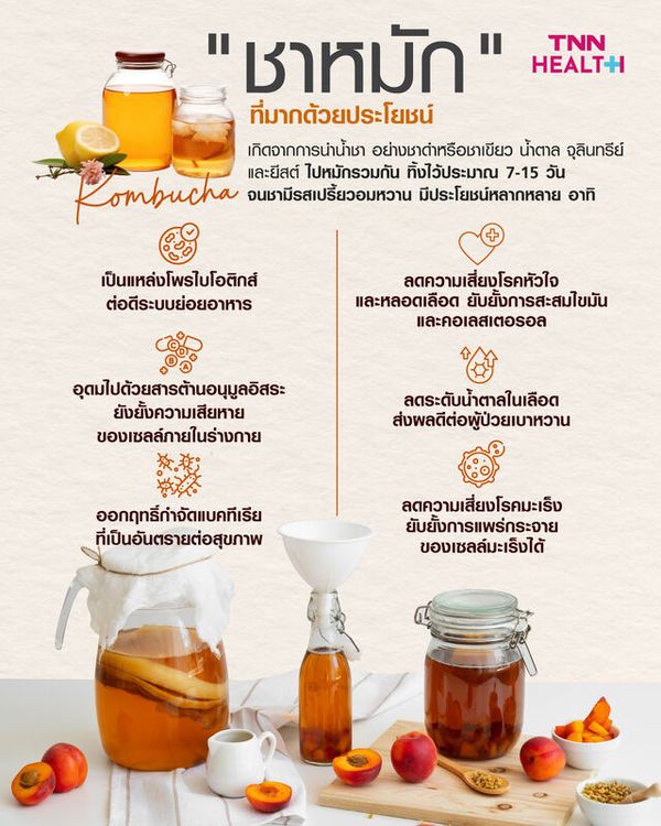 Kombucha ชาหมัก ที่มากด้วยประโยชน์