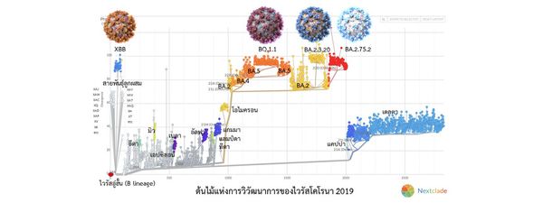 จับตา! โควิด-19 4 สายพันธุ์ย่อย คาดจะมาแทนที่ BA.5 ในต้นปี 2566 