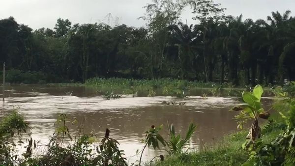 น้ำท่วมกระบี่ ฝนตกหนัก-น้ำหลาก เตือนประชาชนขนของขึ้นที่สูง 