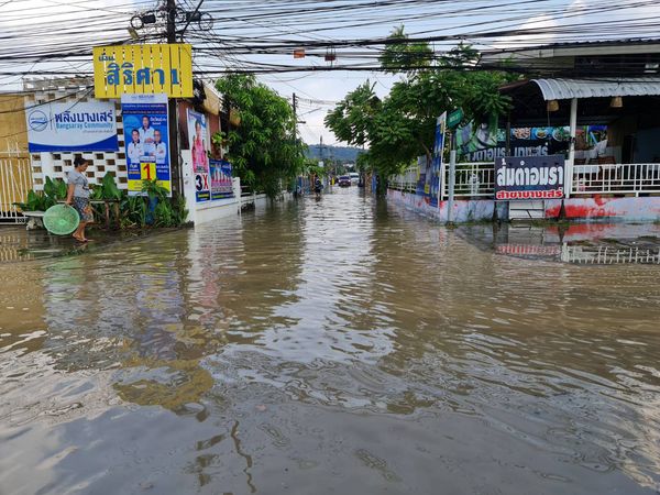 ฝนถล่มสัตหีบ น้ำระบายไม่ทัน จับปลาซะเลย!