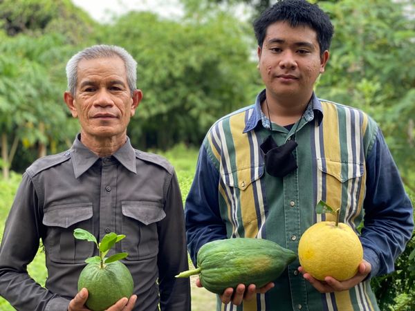 สหกรณ์พัฒนาชีวิตชาวหุบกะพง เดินตามหลักปรัชญาเศรษฐกิจพอเพียง ฝ่าวิกฤตโควิด 