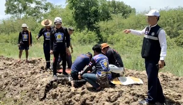 พายุกระหน่ำสุพรรณบุรี! ซัดกำแพงพังทำ จระเข้ หลุดไปกว่า 30 ตัว