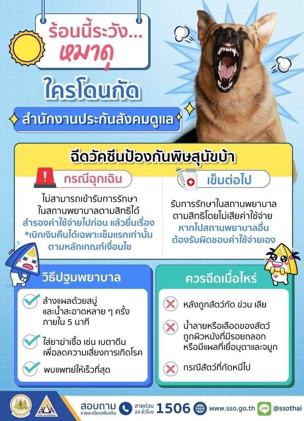 เช็กสิทธิประกันสังคม “หมากัด” ฉีดวัคซีนพิษสุนัขบ้า ต้องจ่ายเงินไหม?