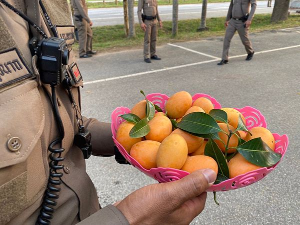 มะยงชิดมะยงใจ! ตร.แจกปชช.กลับอีสานกินแก้ง่วง-มิตรภาพรถแน่นตลอดสาย