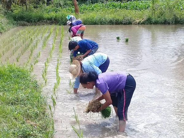 CPF สานพลังพนักงานร่วมสร้างคุณค่าทางสังคม ขับเคลื่อน CPF 2030 Sustainability in Action