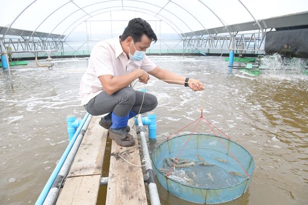 นักวิชาการ CPF ชู “โปรไบโอติก” นวัตกรรมการเลี้ยงกุ้งปลอดภัย ปลอดโรค ปลอดสาร