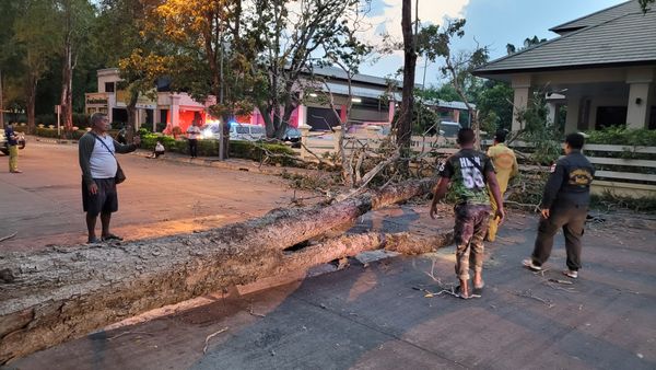 พิษณุโลก! พายุฤดูร้อนพัดถล่ม-ลูกเห็บตก