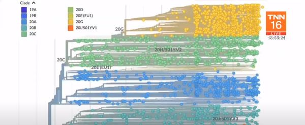 ทีมวิจัยสหรัฐเผยคลิปวิดีโอแสดงการกลายพันธุ์เชื้อโควิด-19