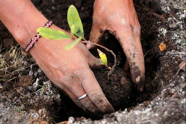 5 ธ.ค. “วันดินโลก” World Soil Day