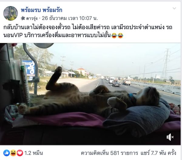 สบายไปไหม? “เหมียว”นั่งรถกลับบ้านแบบวีไอพีเหมือนบินเฟิร์สคลาส