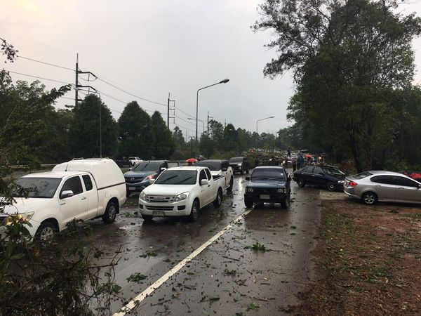 พายุฝนถล่มตราด ต้นไม้ริมถนนล้มทับรถ 3 คัน