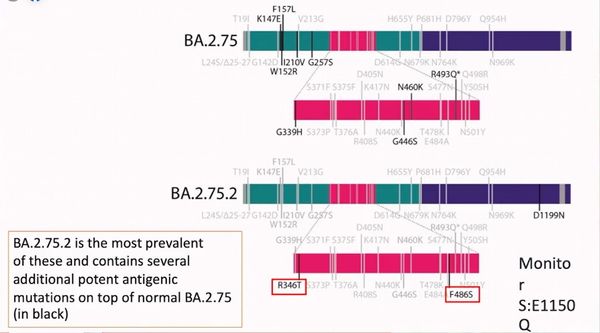 กรมวิทย์ฯ ยืนยัน ไทยพบโควิดโอมิครอน สายพันธุ์ย่อย BA.2.75.2 ขออย่าตระหนก