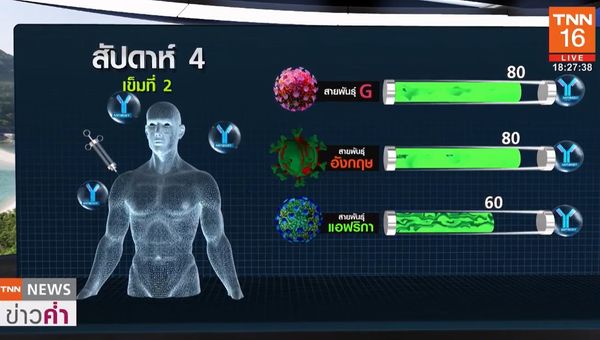 ฉีดวัคซีนโควิดนานแค่ไหน? จะมี ภูมิคุ้มกัน