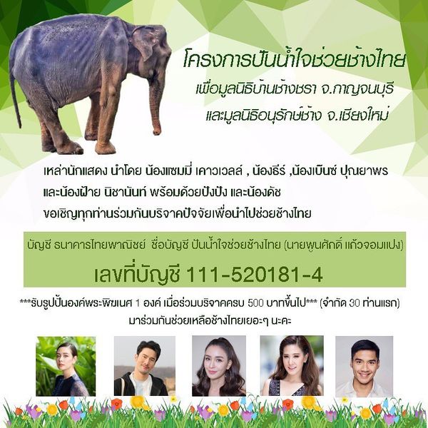 ช่วยช้างด้วย! เบนซ์ ปุณยาพร ชวนช่วยเหลือช้างไทย  (มีคลิป)