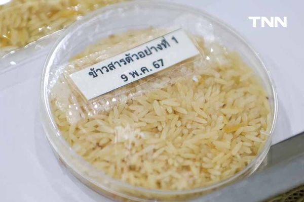 กรมวิทย์ฯ เผยผลตรวจข้าว 10 ปี ไม่พบสารพิษที่เป็นอันตราย - สารอาหารครบ