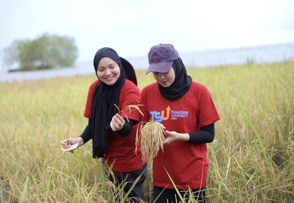 มูลนิธิเจริญโภคภัณฑ์พัฒนาชีวิตชนบท สืบสานภูมิปัญญา ‘นาริมเล’ ต่อยอดมรดกทางวัฒนธรรม 