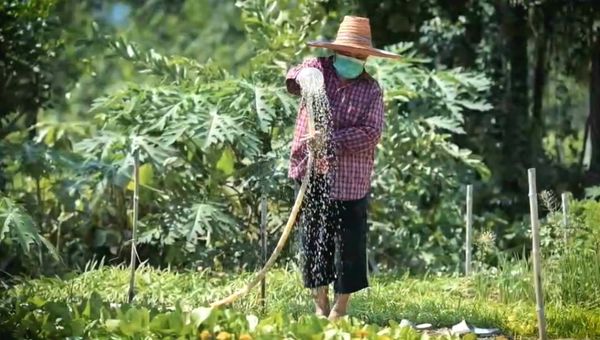 ตามไปดู CPF Greenfarm เลี้ยงหมูปลอดสาร เป็นมิตรสิ่งแวดล้อม