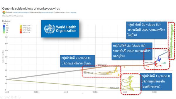 ศูนย์จีโนมฯ เปิด 4 กลุ่มเคลด ไวรัส ฝีดาษลิง แพร่กระจายที่ไหนบ้าง พร้อมเผยวิธีการตั้งชื่อ