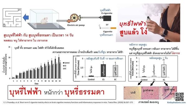 เตือนสูบบุหรี่ไฟฟ้าทำลายสมอง อันตรายกว่าบุหรี่ธรรมดา