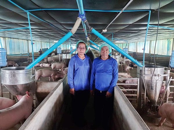 “บุญเกิดฟาร์ม” บทพิสูจน์คอนแทรคฟาร์มเลี้ยงหมูพลิกชีวิต ซีพีเอฟส่งเสริมเกษตรยั่งยืน