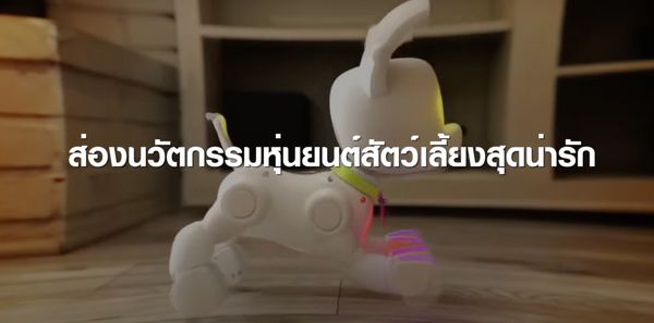 3 หุ่นยนต์สัตว์เลี้ยงสุดไฮเทค ไอเทมแก้เหงาประจำบ้าน | TNN Tech Reports 