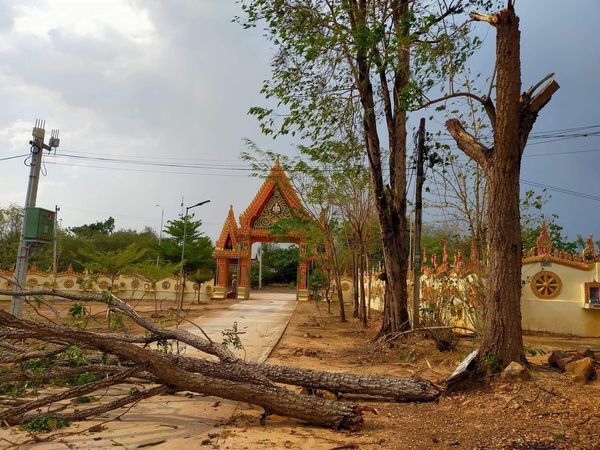 พิษณุโลก! พายุฤดูร้อนพัดถล่ม-ลูกเห็บตก