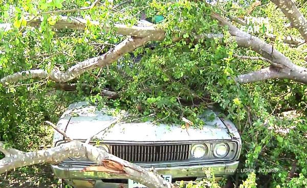 ลมพายุฝนพัดถล่ม “สุพรรณบุรี” ต้นไม้หักโค่น บ้านเรือนเสียหายหลายหลัง