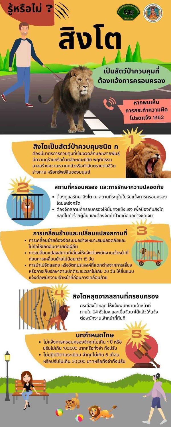 'จากป่า มาสู่กรุง' เปิดข้อกฎหมาย 'สิงโต' นั่งเบนท์ลีย์ เมื่อ 'สัตว์ป่า' กลายเป็น 'สัตว์เลี้ยง'  