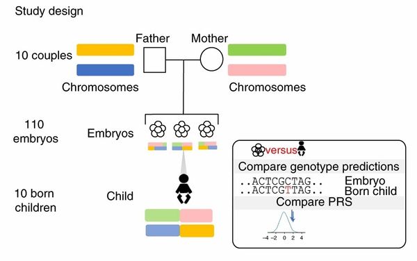 เลือก ทารก ที่สมบูรณ์แบบก่อนตั้งครรภ์ ด้วยเทคโนโลยีถอดรหัสจีโนม